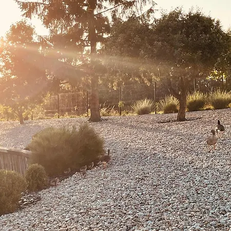 Gasthuis Eden Aux Hirondelles 4*