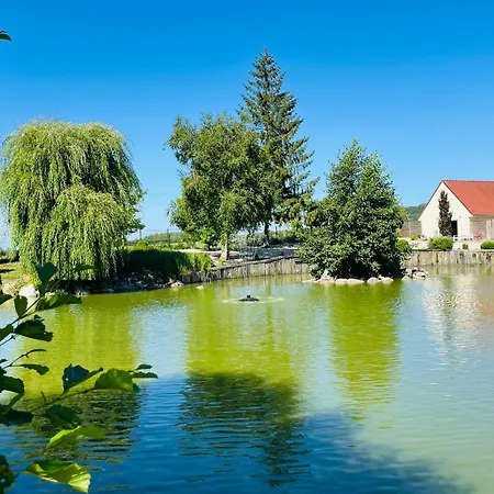 Eden Aux Hirondelles * Samer