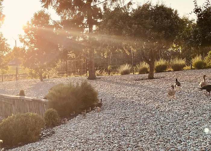 Maison d'hôtes Eden Aux Hirondelles 4*
